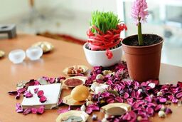 تزیین سماق هفت سین ؛ اینطوری سماق هفت سین شما خاص تر میشه !