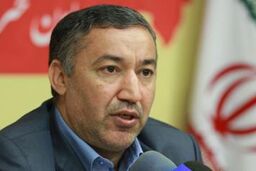 افزایش ۸۰ درصدی خرید تضمینی گندم از ابتدای امسال