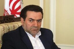 انصراف زیر ۱۰درصدی از یارانه سیاست های دولت را با مشکل مواجه می کند