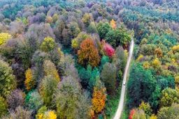 گردشگری مسئولانه؛ پیشران حفاظت از جنگل‌های هیرکانی