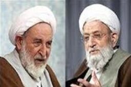 آیت الله مهدوی کنی با حزبی شدن جامعه روحانیت مخالف است / فعالیت مذهبی جامعه مدرسین حزبی نیست