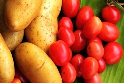 کاهش2 هزار تومانی قیمت گوجه