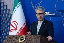 بقائی: به دنبال مذاکره‌ای هستیم که معقول باشد
