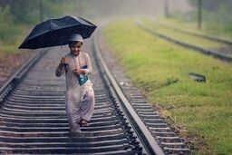 اعلام برندگان مسابقه جهانی عکاسی سونی / عکس