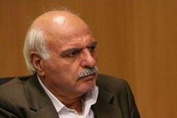 دولت تاکنون برای توزیع سبد کالا از اصناف کمک نخواسته است