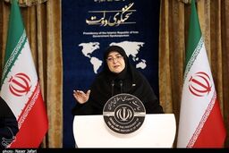 سخنگوی دولت: دولت به دنبال کنترل قیمت‌هاست
