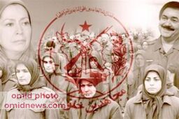 از ظهور تا سراشیبی سقوط